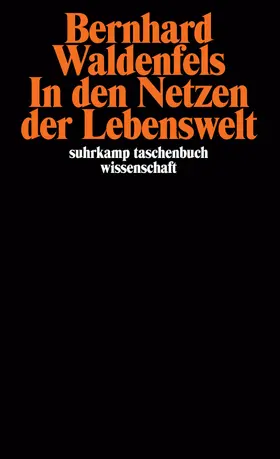 Waldenfels | In den Netzen der Lebenswelt | Buch | 978-3-518-28145-1 | www.sack.de