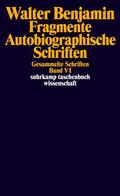 Tiedemann / Benjamin / Schweppenhäuser |  Gesammelte Schriften VI. Fragmente. Autobiographische Schriften | Buch |  Sack Fachmedien