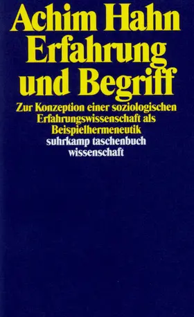 Hahn |  Erfahrung und Begriff | Buch |  Sack Fachmedien