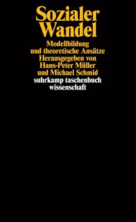 Schmid / Müller |  Sozialer Wandel | Buch |  Sack Fachmedien