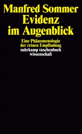 Sommer |  Evidenz im Augenblick | Buch |  Sack Fachmedien