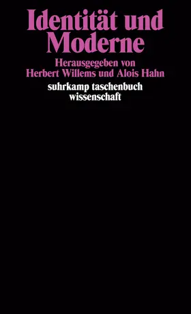 Willems / Hahn |  Identität und Moderne | Buch |  Sack Fachmedien