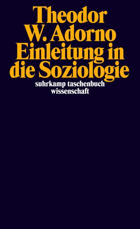 Gödde / Adorno |  Einleitung in die Soziologie | Buch |  Sack Fachmedien