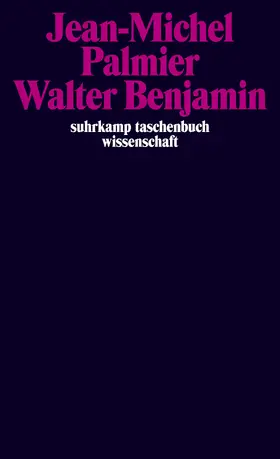Palmier / Perrier |  Walter Benjamin | Buch |  Sack Fachmedien