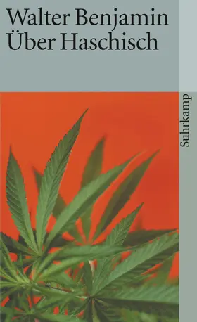 Benjamin / Rexroth |  Über Haschisch | Buch |  Sack Fachmedien