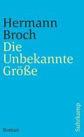 Broch / Lützeler |  Die Unbekannte Größe | Buch |  Sack Fachmedien