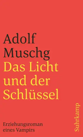 Muschg |  Das Licht und der Schlüssel | Buch |  Sack Fachmedien