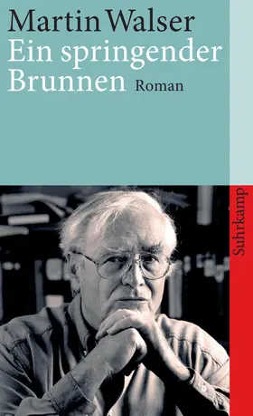 Walser |  Ein springender Brunnen | Buch |  Sack Fachmedien