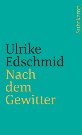 Edschmid |  Nach dem Gewitter | Buch |  Sack Fachmedien