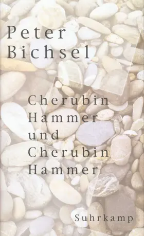 Bichsel |  Cherubin Hammer und Cherubin Hammer | Buch |  Sack Fachmedien