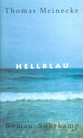 Meinecke |  Hellblau | Buch |  Sack Fachmedien