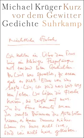 Krüger |  Kurz vor dem Gewitter | Buch |  Sack Fachmedien