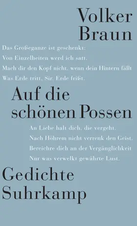 Braun |  Auf die schönen Possen | Buch |  Sack Fachmedien