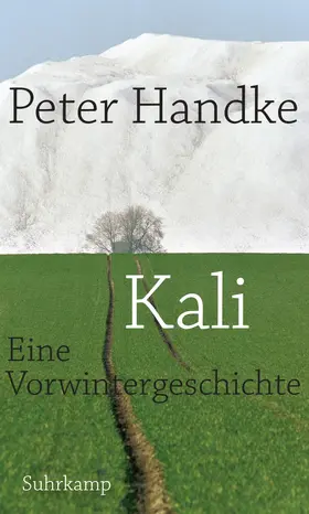 Handke | Kali | Buch | 978-3-518-41877-2 | www.sack.de