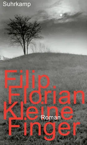 Florian |  Kleine Finger | Buch |  Sack Fachmedien