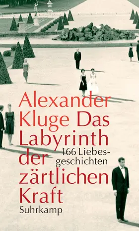 Kluge |  Das Labyrinth der zärtlichen Kraft | Buch |  Sack Fachmedien