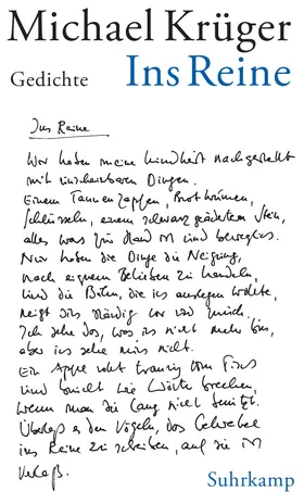 Krüger |  Ins Reine | Buch |  Sack Fachmedien