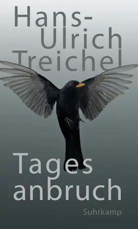 Treichel | Tagesanbruch | Buch | 978-3-518-42525-1 | www.sack.de