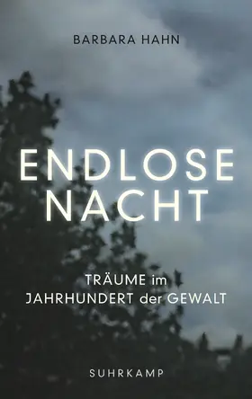 Hahn |  Endlose Nacht | Buch |  Sack Fachmedien