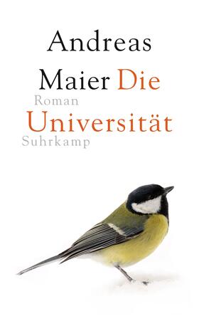 Maier | Maier, A: Universität | Buch | 978-3-518-42785-9 | sack.de