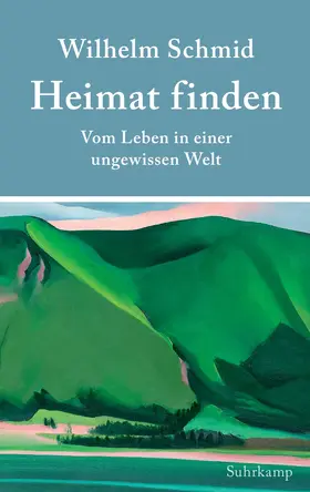 Schmid | Heimat finden | Buch | 978-3-518-42978-5 | www.sack.de