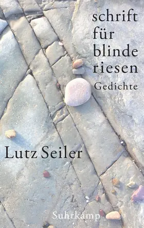 Seiler |  schrift für blinde riesen | Buch |  Sack Fachmedien