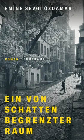 Özdamar |  Ein von Schatten begrenzter Raum | Buch |  Sack Fachmedien