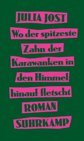 Jost |  Wo der spitzeste Zahn der Karawanken in den Himmel hinauf fletscht | Buch |  Sack Fachmedien