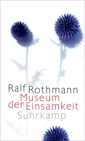 Rothmann | Museum der Einsamkeit | Buch | 978-3-518-43230-3 | www.sack.de