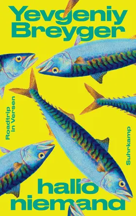 Breyger | hallo niemand | Buch | 978-3-518-43288-4 | www.sack.de