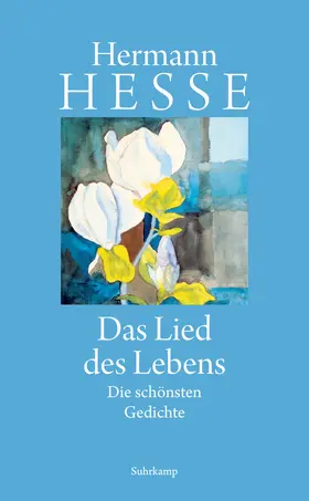 Hesse / Michels | Das Lied des Lebens | Buch | 978-3-518-43338-6 | www.sack.de