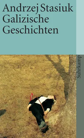 Stasiuk |  Galizische Geschichten | Buch |  Sack Fachmedien