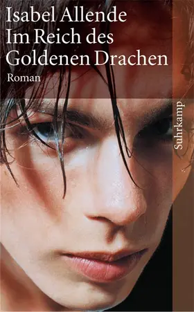 Allende |  Im Reich des Goldenen Drachen | Buch |  Sack Fachmedien