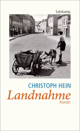 Hein | Landnahme | Buch | 978-3-518-45729-0 | www.sack.de