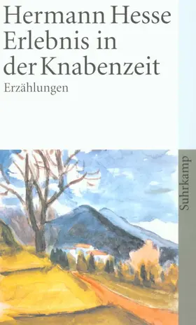Hesse |  Erlebnis in der Knabenzeit | Buch |  Sack Fachmedien