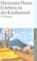 Hesse |  Erlebnis in der Knabenzeit | Buch |  Sack Fachmedien