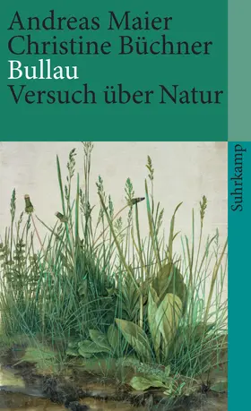 Maier / Büchner |  Bullau | Buch |  Sack Fachmedien
