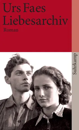 Faes |  Liebesarchiv | Buch |  Sack Fachmedien