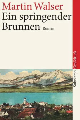 Walser |  Ein springender Brunnen | Buch |  Sack Fachmedien