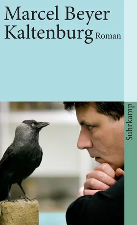 Beyer |  Kaltenburg | Buch |  Sack Fachmedien