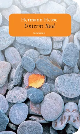 Hesse |  Unterm Rad | Buch |  Sack Fachmedien