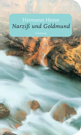 Hesse | Narziß und Goldmund | Buch | 978-3-518-46356-7 | www.sack.de