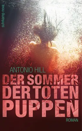 Hill |  Der Sommer der toten Puppen | Buch |  Sack Fachmedien