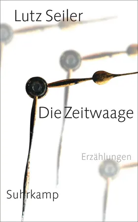 Seiler |  Die Zeitwaage | Buch |  Sack Fachmedien
