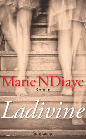 NDiaye |  Ladivine | Buch |  Sack Fachmedien