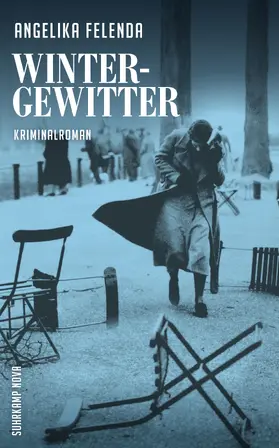 Felenda |  Wintergewitter | Buch |  Sack Fachmedien