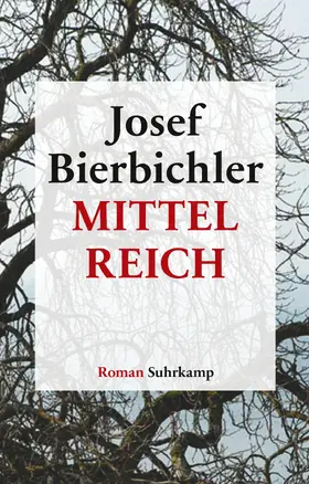 Bierbichler | Mittelreich | Buch | 978-3-518-46738-1 | sack.de