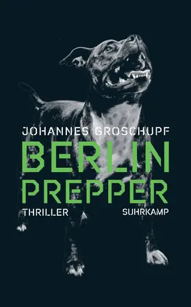 Groschupf / Wörtche |  Berlin Prepper | Buch |  Sack Fachmedien