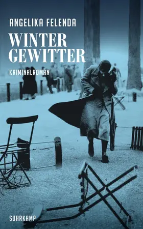 Felenda |  Wintergewitter | Buch |  Sack Fachmedien