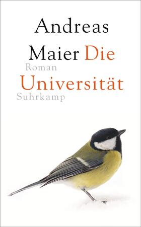 Maier | Die Universität | Buch | sack.de